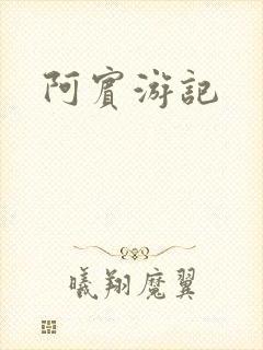 阿宾游记