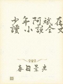 少年阿斌在线阅读 小说全文免费