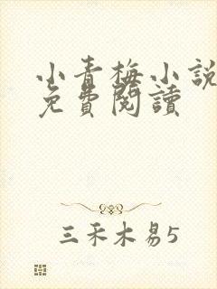 小青梅小说全文免费阅读封面