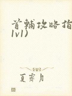 首辅攻略指南(1v1)