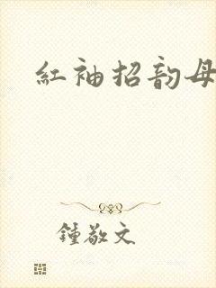 红袖招韵母攻略