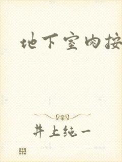 地下室肉按摩椅