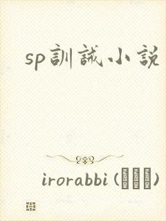 sp训诫小说封面