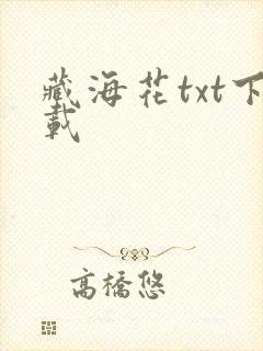 藏海花txt下载