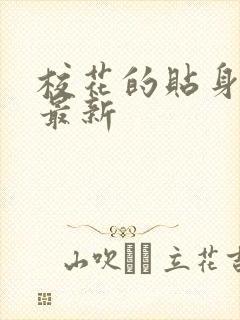 校花的贴身高手最新封面