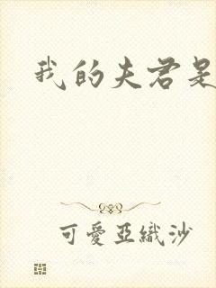 我的夫君是冥王