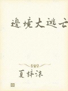 边境大逃亡封面