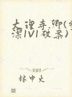 大理寺.卿(双洁1V1破案)封面