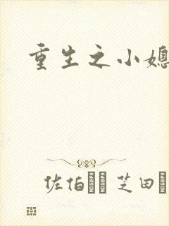 重生之小媳妇封面