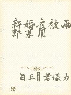 新婚夜被两个伴郎享用