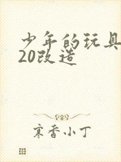 少年的玩具1一20改造封面