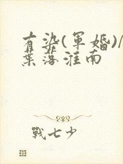 有染(军婚)/叶落淮南