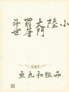 斗罗大陆小说绝世唐门封面