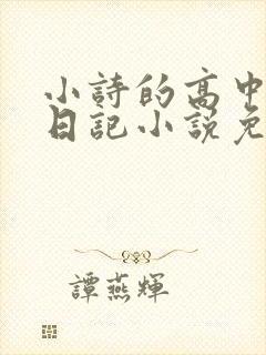 小诗的高中成长日记小说免费阅读