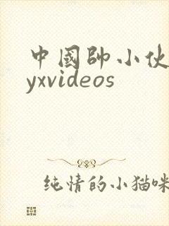中国帅小伙gayxvideos