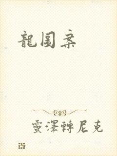 龙图案