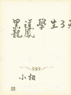 黑道学生3天门龙凤
