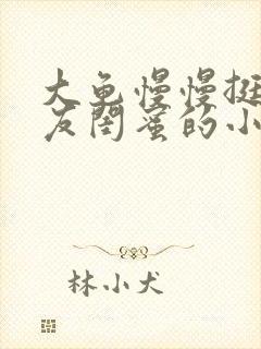 大龟慢慢挺进女友闺蜜的小说封面