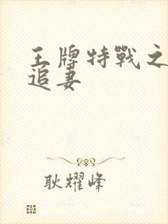 王牌特战之军少追妻