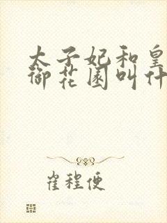 太子妃和皇帝在御花园叫什么小说封面