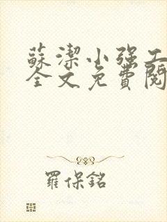 苏洁小强工地情全文免费阅读