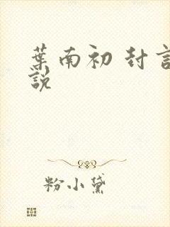 叶南初 封言小说