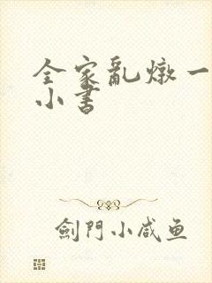 全家乱炖一锅烩小书封面