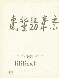 东北往事之黑道风云20年小说