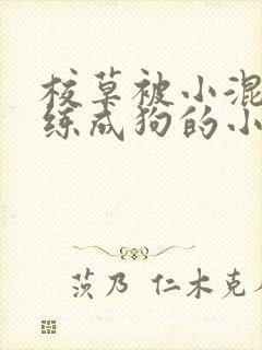 校草被小混混训练成狗的小说