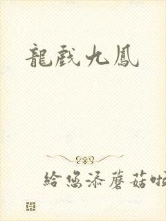 龙戏九凤封面