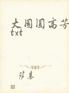 大团圆高芳小说txt