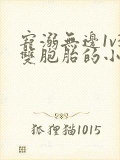 宠溺无边1v3双胞胎的小说