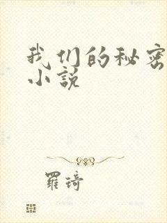 我们的秘密泰剧小说封面