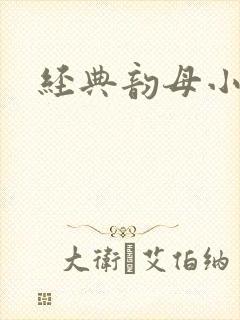 经典韵母小说封面