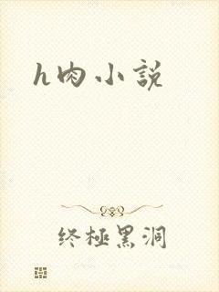h肉小说