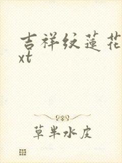 吉祥纹莲花楼txt