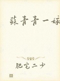 苏青青一嫁三夫封面