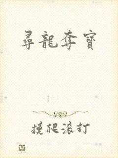 寻龙夺宝