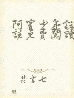 阿宾少年钰慧小说免费阅读笔趣阁封面