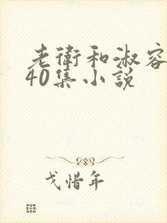 老卫和淑容1-40集小说