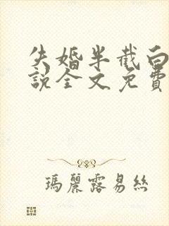 失婚半截白菜小说全文免费阅读封面