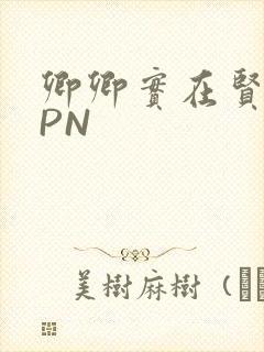 卿卿实在贤良NPN