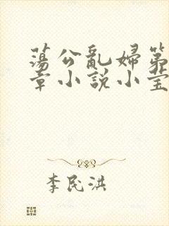 荡公乱妇第51章小说小莹封面