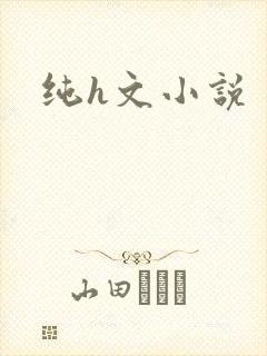 纯h文小说封面