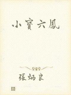 小宝六凤