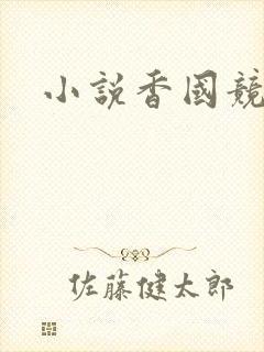 小说香国竞艳