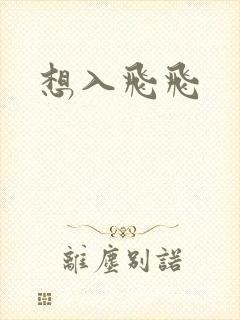 想入飞飞封面