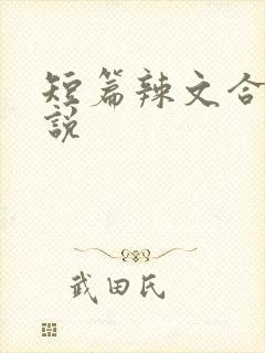 短篇辣文合集小说