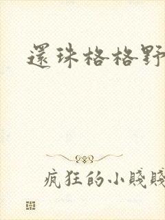 还珠格格野传封面