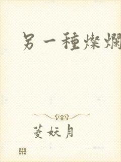 另一种灿烂生活